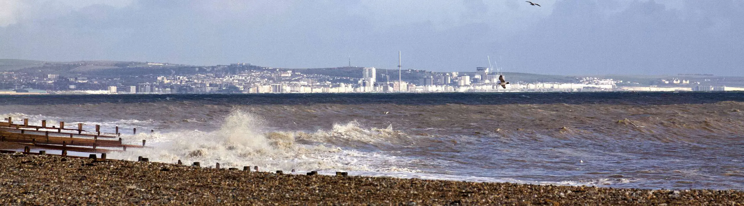 CCH Image showing the beach at Worthing